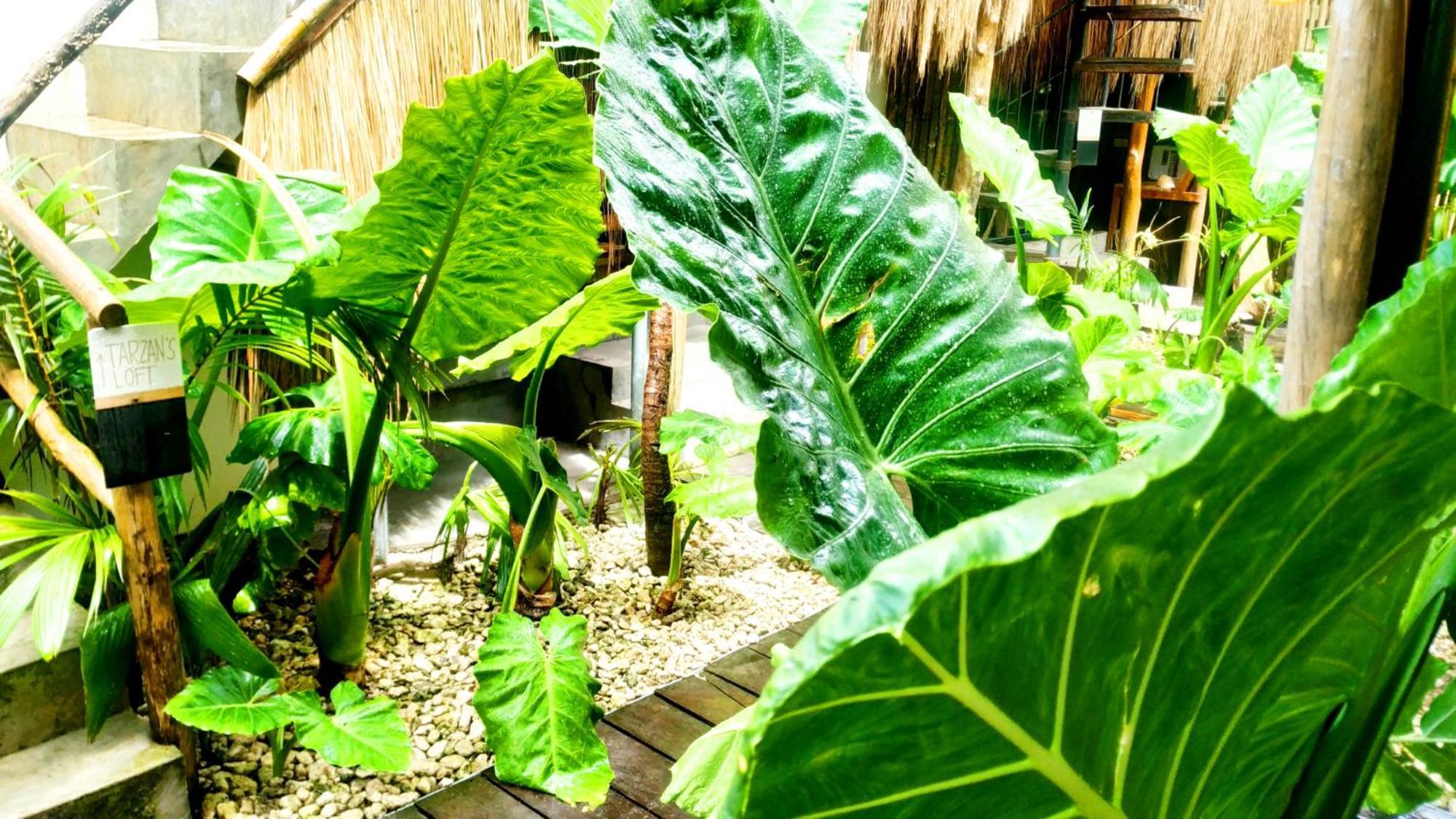 Tarzan'S House General Luna (Surigao del Norte) Exterior foto